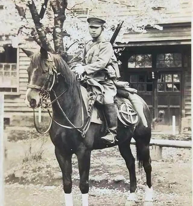 早期日本马肩高在1.1～1.3米左右，远低于其他地区马匹，因此日军骑兵被称为猴子