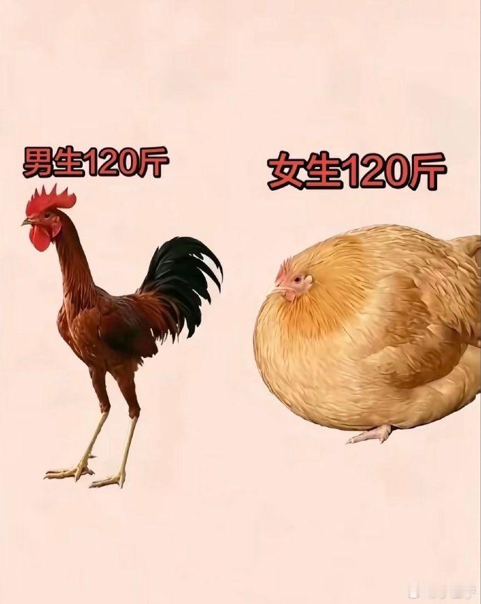 世界上最不公平的两件事太真实哈哈哈，确实还挺形象，男生120斤确实是很瘦，但是