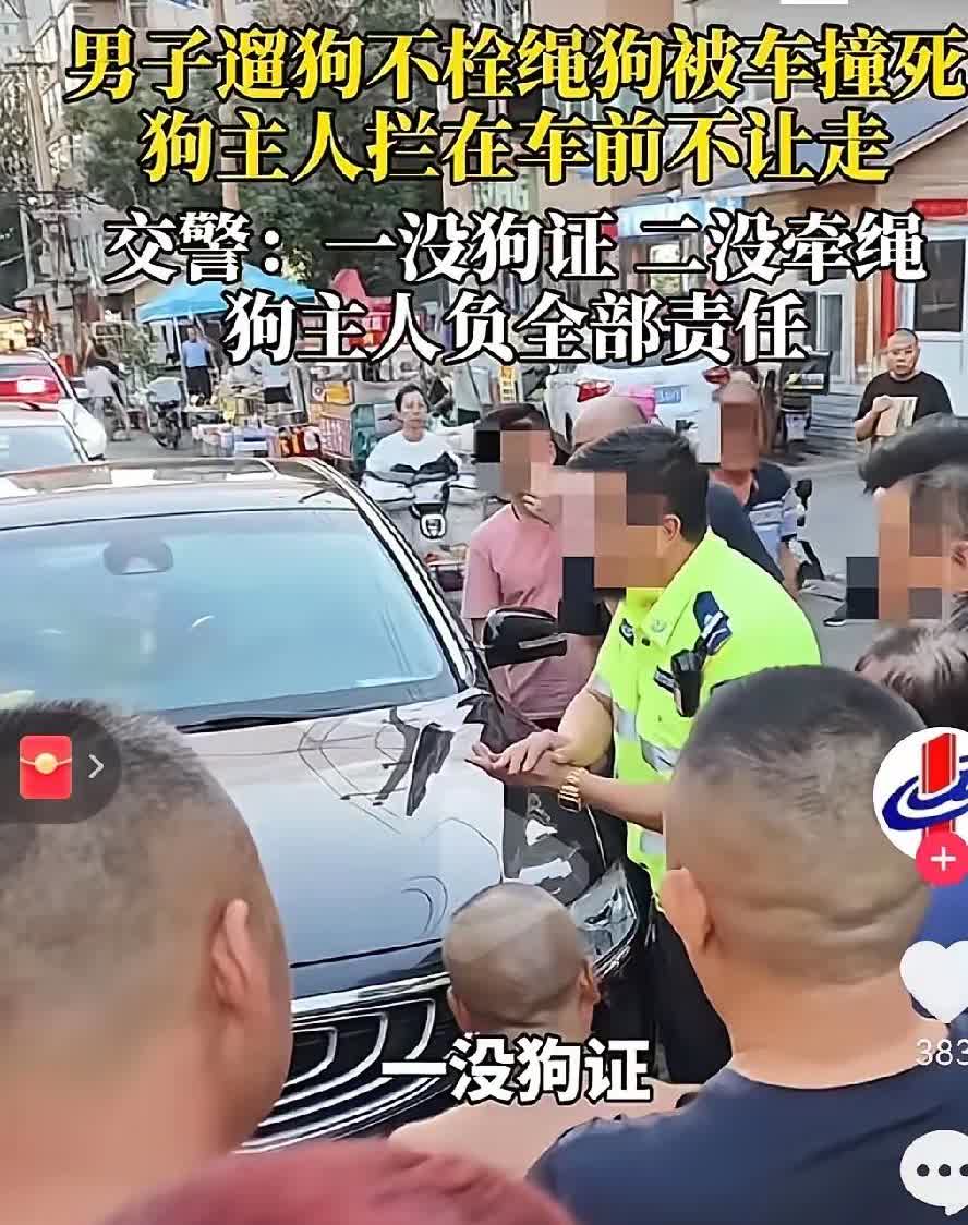 一觉醒来，遛狗不牵绳的慌了。7月21日河北一男子遛狗不牵绳，任由狗在大街