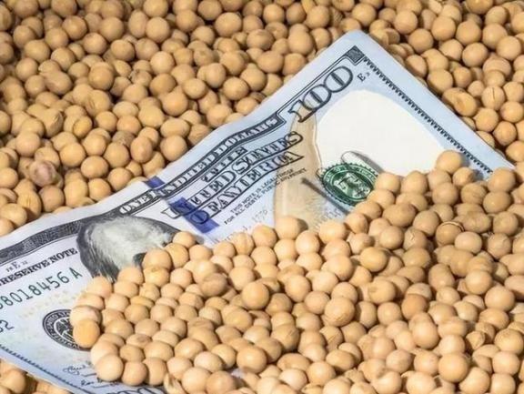 美国大豆为什么非要卖给中国？其实，站在美国的角度，三年不卖给中国大豆，扩大国内内