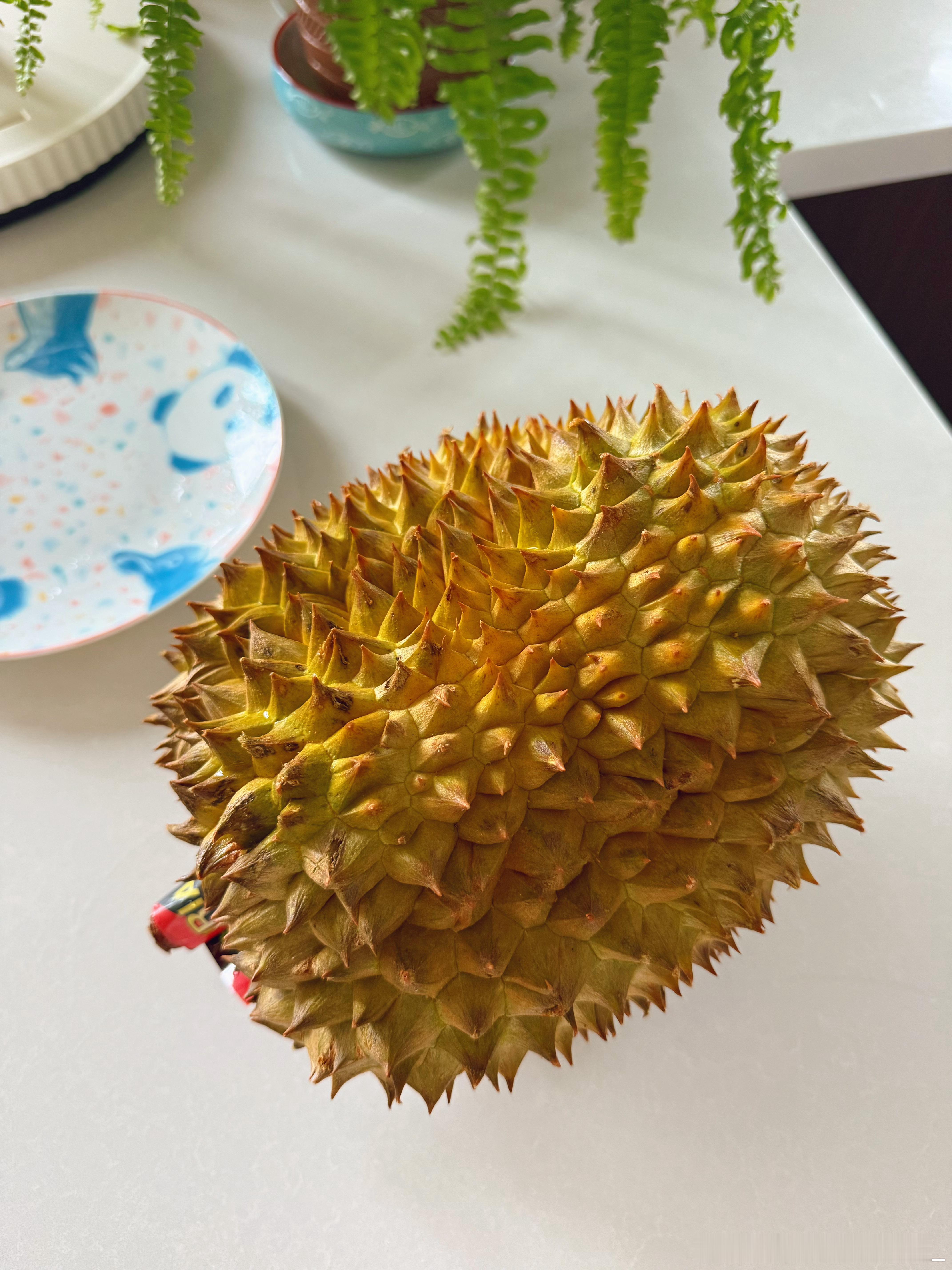 现在特别喜欢开榴莲，我和我妈说一共就仨人还有一个不吃的都不敢买，闷总说你应该去超