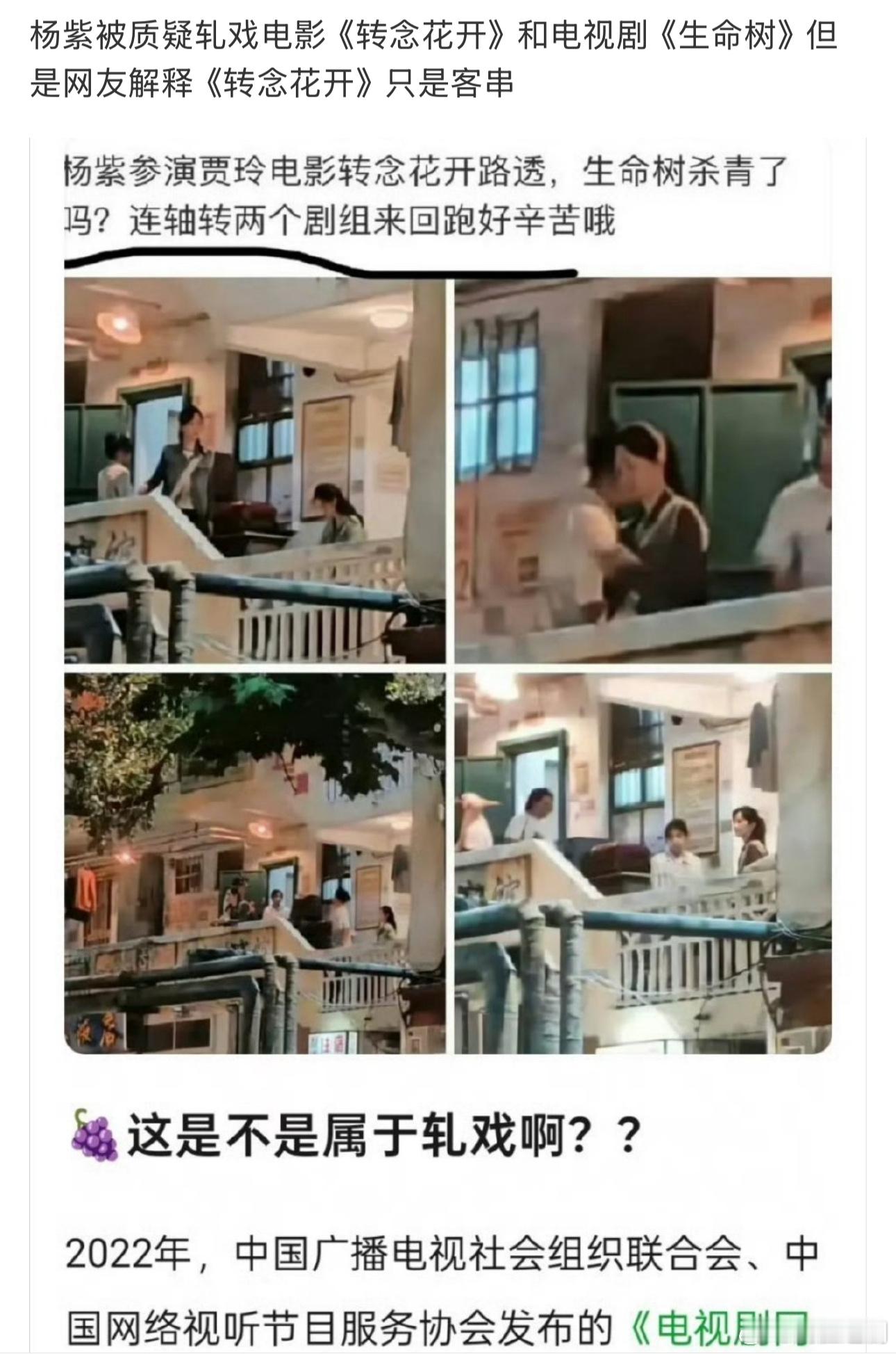 杨紫被质疑轧戏电影《转念花开》？？？我的天今夕何年一人竟然拿这个黑杨紫，《转年花