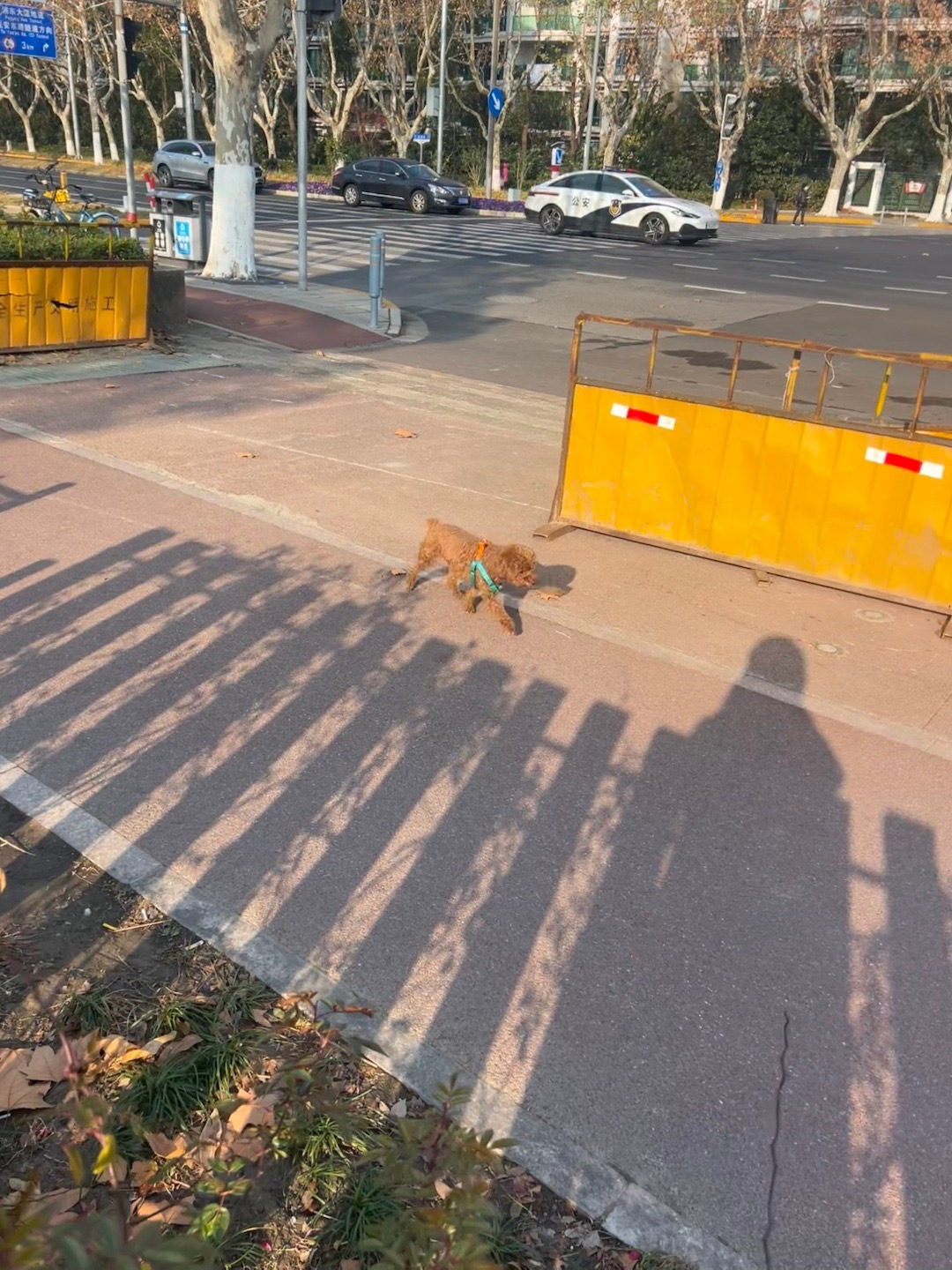 早上好中午好下午好跑步运动生活即刻开跑