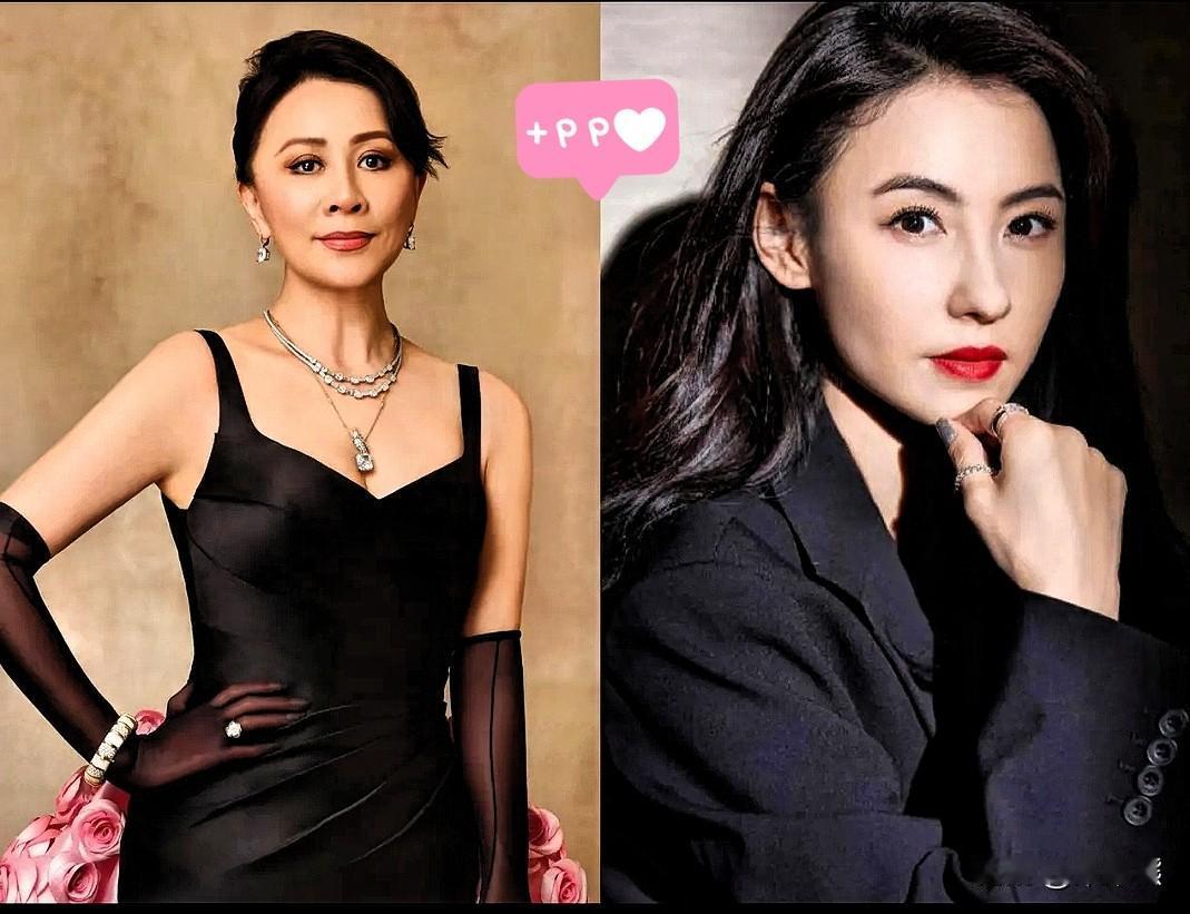 现在最懵的人估计就是刘嘉玲了她怎么也想不到粉丝这么护着张柏芝刘嘉玲最开