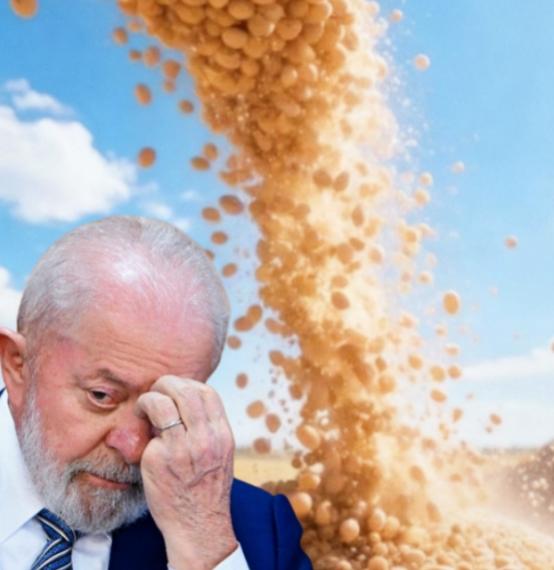 一夜之间，巴西沉没了，巴西大豆价格攀升至650美元/吨，这让巴西大豆商欣喜不已，