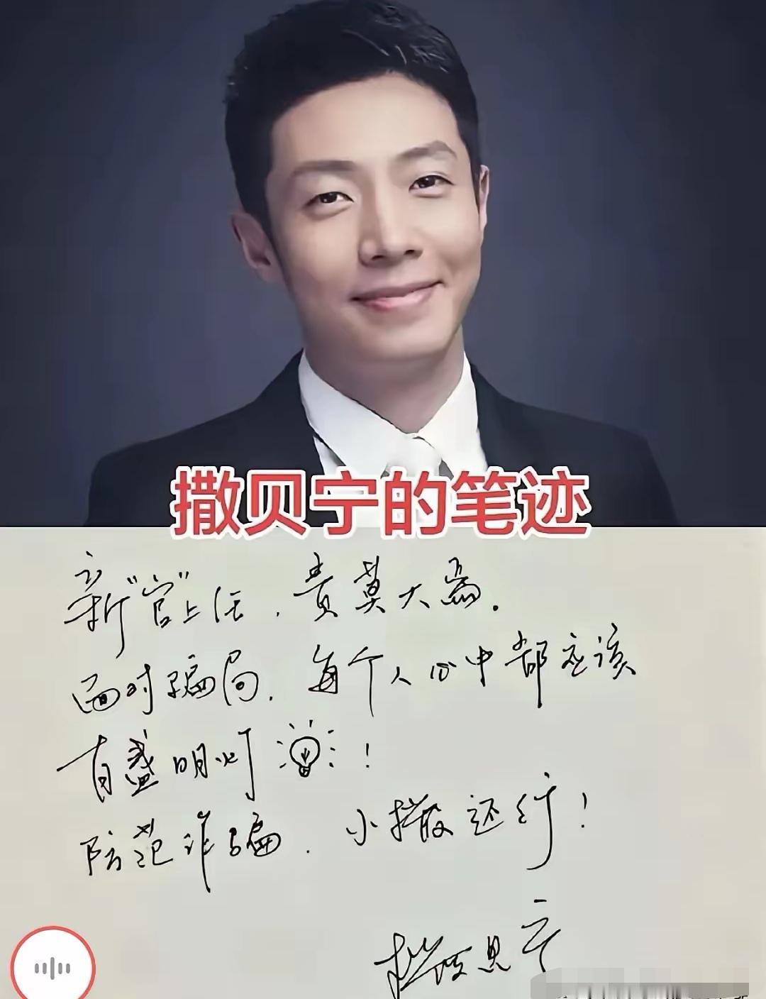 北大才子撒贝宁钢笔字曝光！网友：才华满分，字迹太真实！你怎么看？北大才子撒