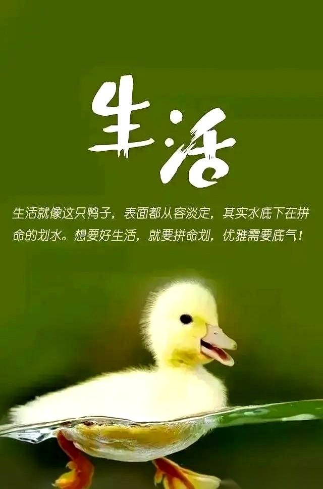 男人心脏支agger手术刚做完，出院单还没捂热，转身就被妻子拽进了同一家医院的妇