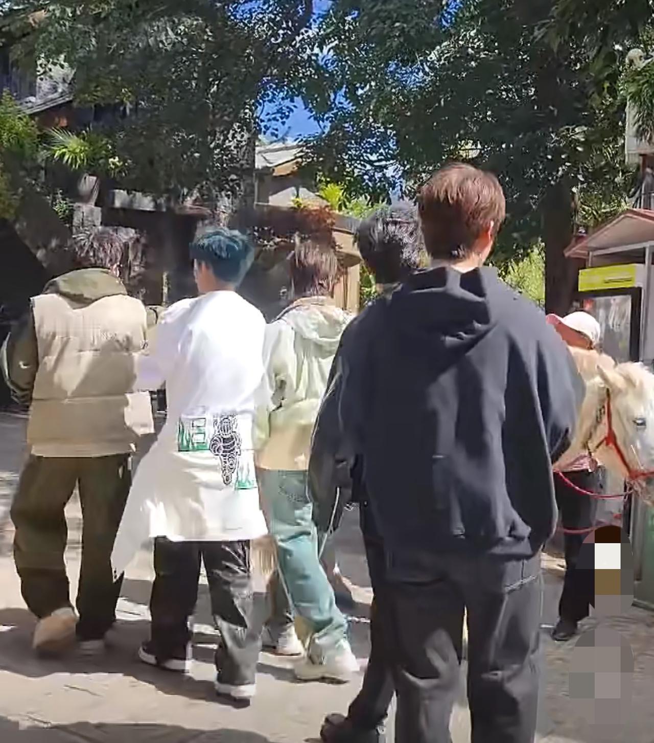 快乐老友记丽江路透来了！网友发的视频里，真叫王栎鑫笑死。哥几个看见路边有一匹