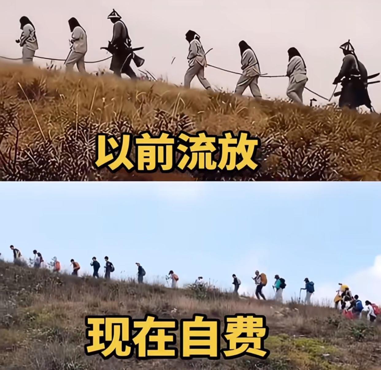 哈哈，莫名好笑，不过深思一下两者还是明显不同的，一个被迫一个自愿，一个缺