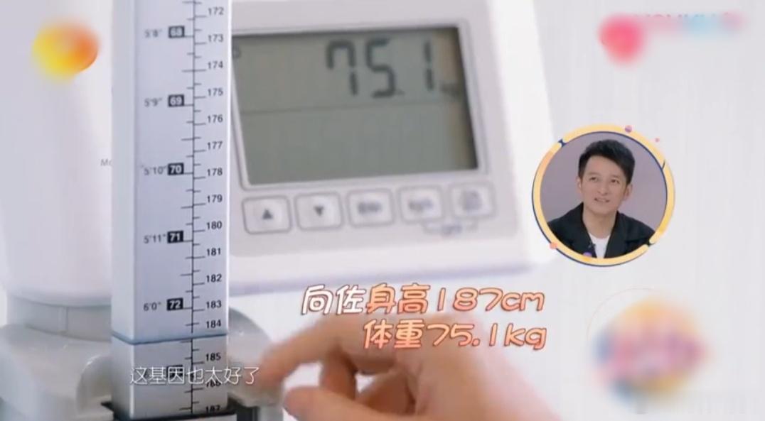 什么？向佐身高186厘米？我一直以为他1米7出头没想到他快1米9了。图一是