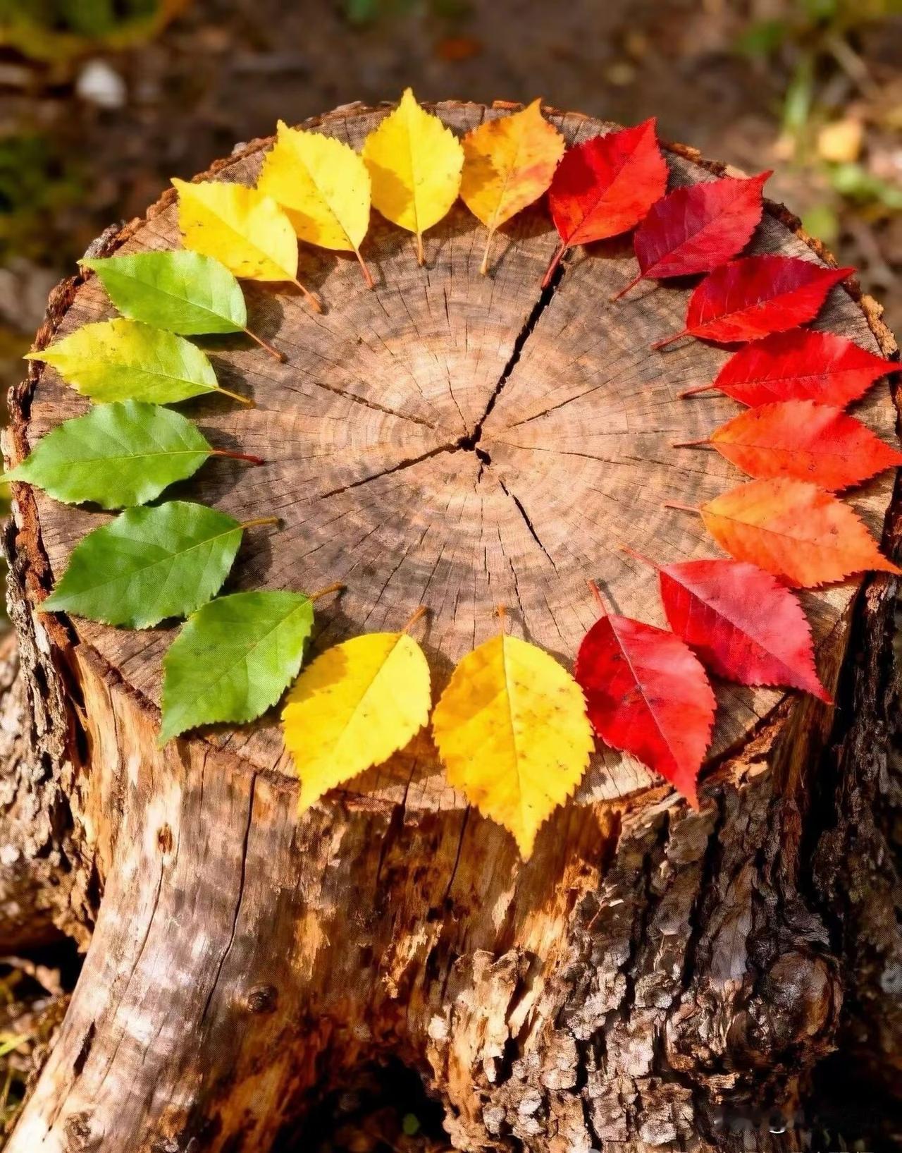 我见过太多中层领导，每天被上级的指令和下属的诉求夹在中间，忙得脚不沾地，最后却落