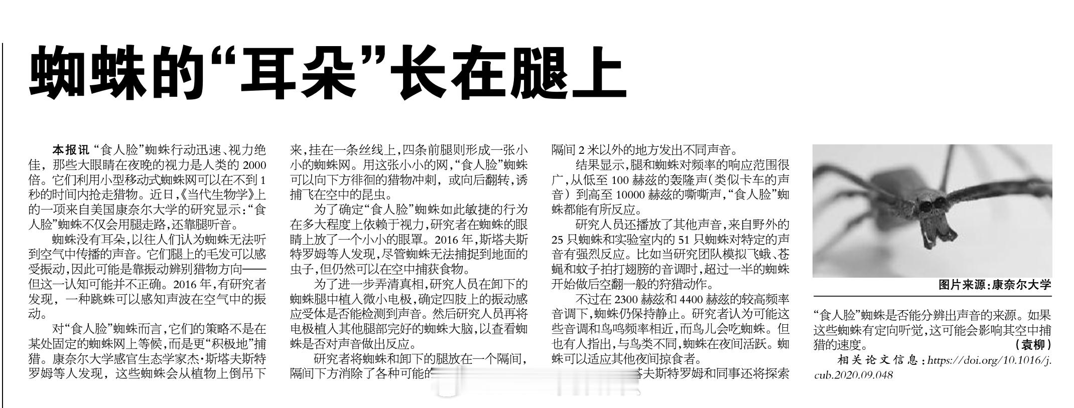 蜘蛛是用腿毛听声音的​​​