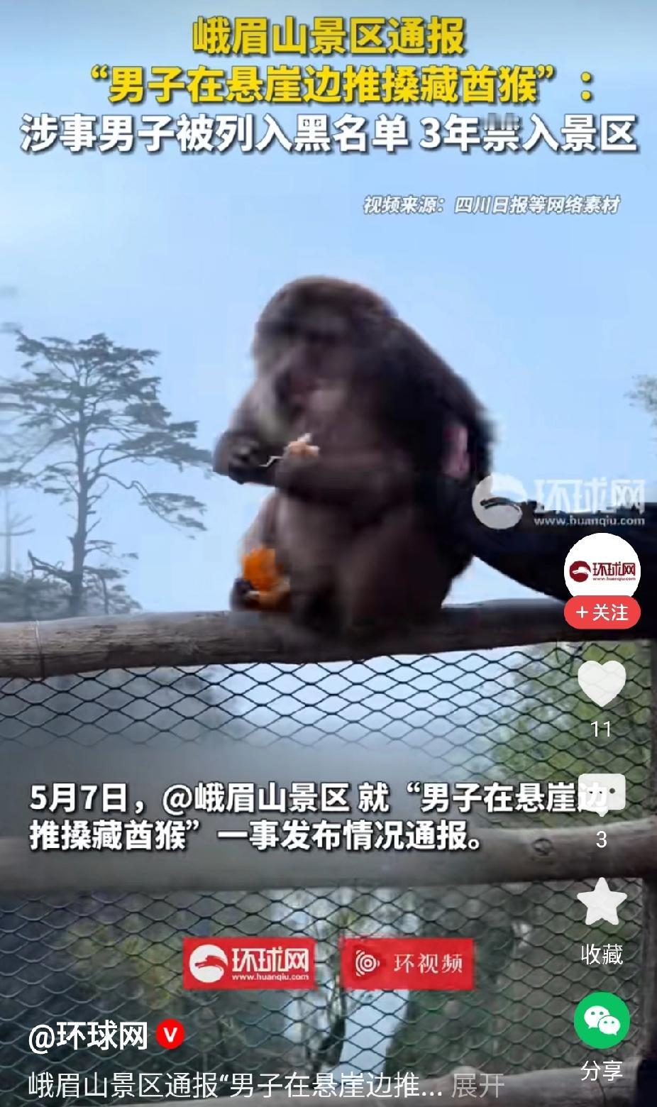 男子在峨眉山猛推猴后续:被列入黑名单，3年内禁止进入峨眉山景区。当时猴子在路边