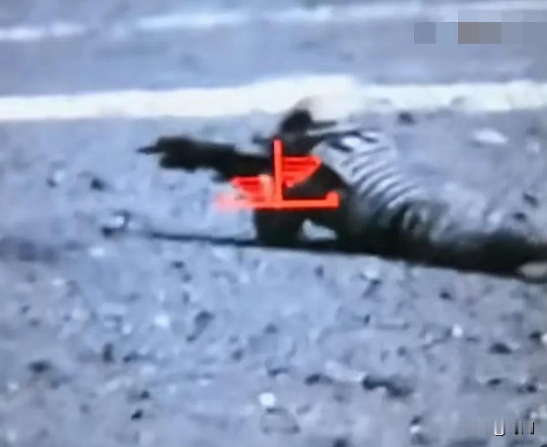 谁说我解放军无快速打击斩首能力？近日，解放军公布一段录像，演练特种部队突袭恐怖分