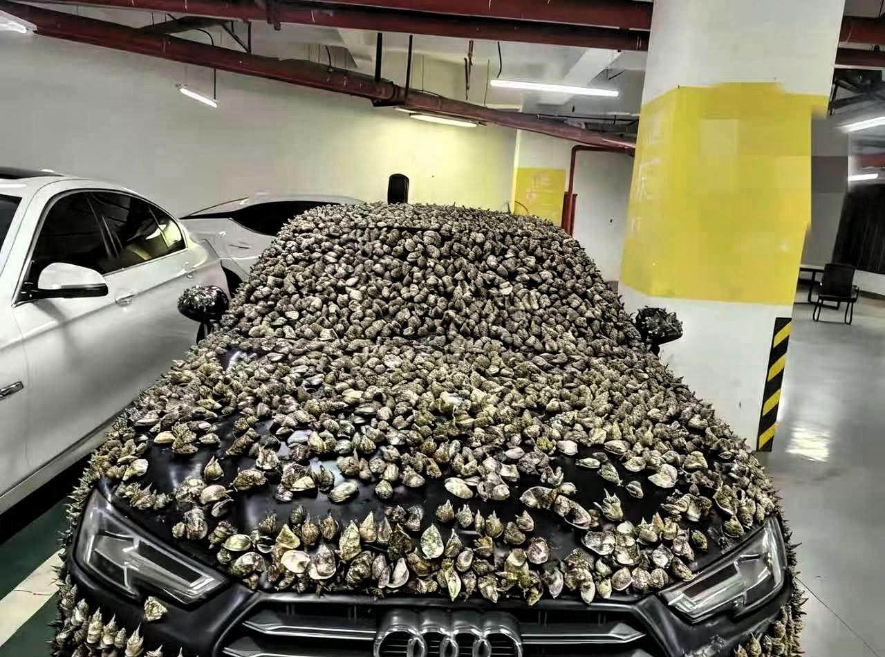 “一分钱不要，也得让你长记性！”业主车位被霸占10天，一怒之下做了这种事江