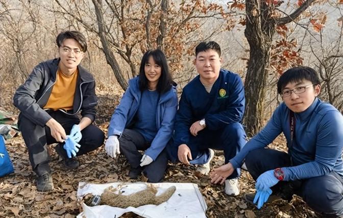北大有位女学者，花了十几年时间追踪北京山里的野猫，她说了一句话：“科学真相存在的