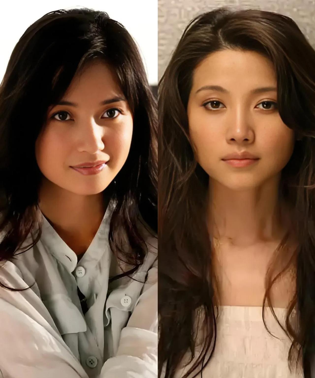 电视剧《利剑玫瑰》，发现一个撞脸明星的女演员，那就是剧中饰演郑薇薇母亲的女演
