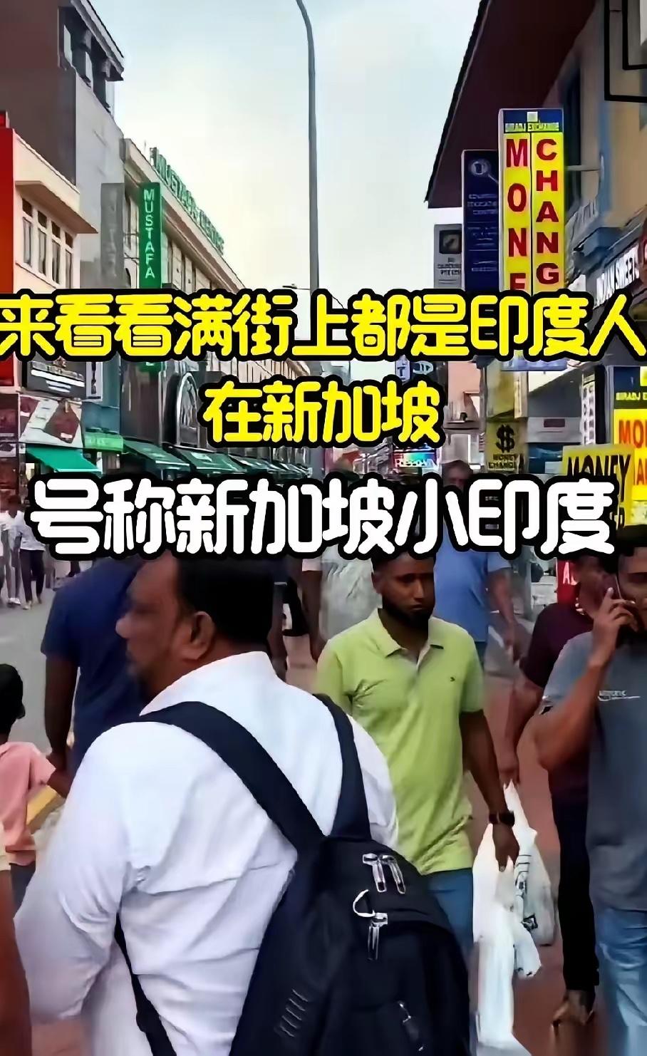有人发了张新加坡飞往中国的登机口照片，一下子就炸了。看完这张现场照片，真的让