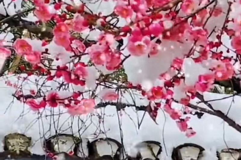 12月23日：事关北京二手房，涨跌自己判断！距离2026年倒计时9天，昨日北