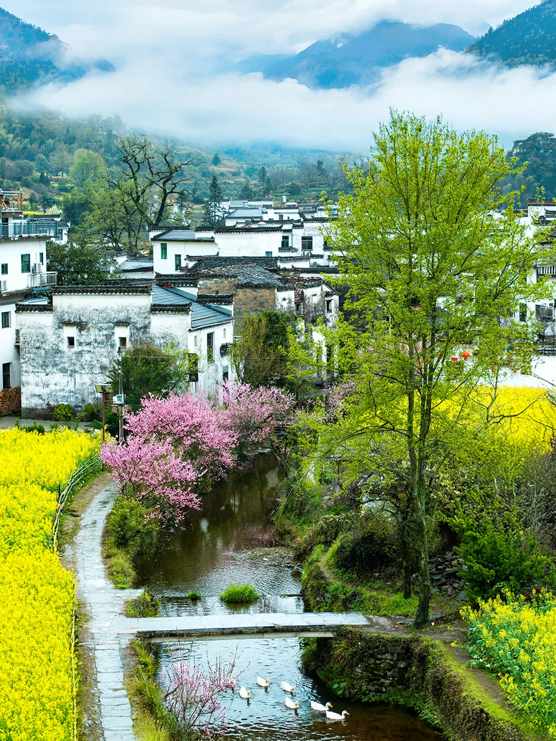 意外闯入徽州小众村落，春天原来这么美！