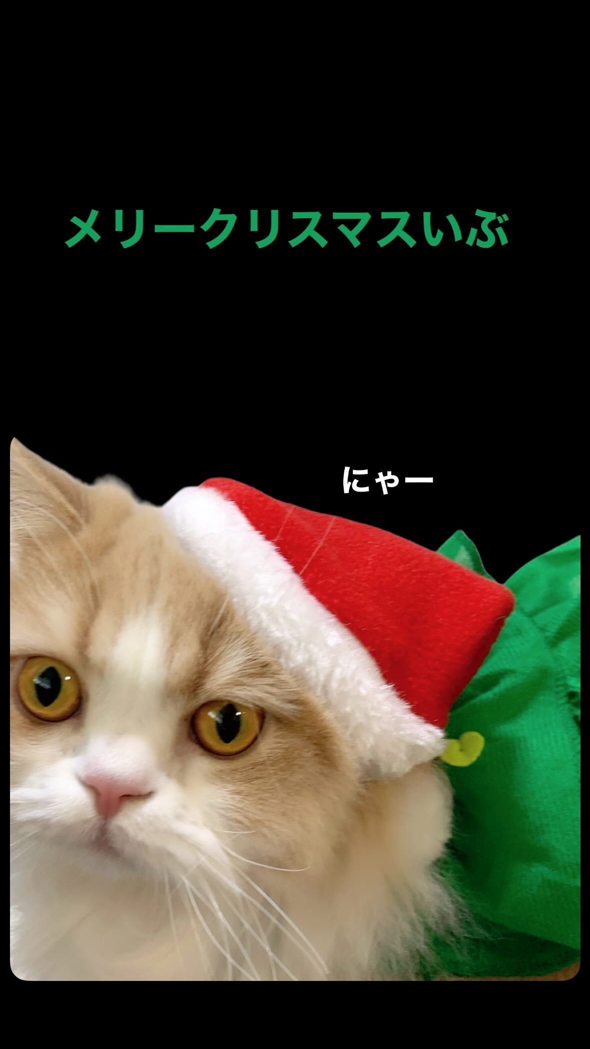 高瀬愛奈managram