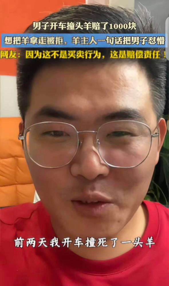 “破防了！”一男子开车，撞死一只头羊，赔了牧民1000元，他想把死羊拿走，牧民却