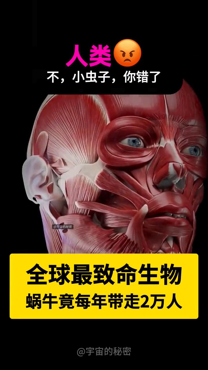 全球最致命生物，蜗牛竟每年带走2万人。宇宙的秘密。没有什么比我更致命！不，小