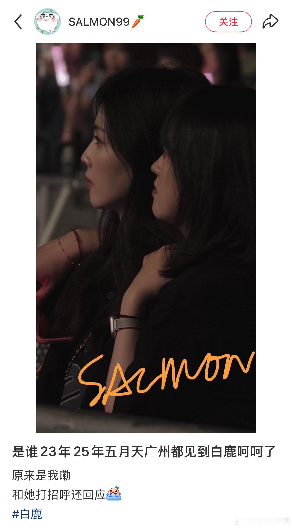 白鹿和呵呵又去看演唱会了好闺蜜抱在一起看好美丽的侧脸我们呵呵又要幸福