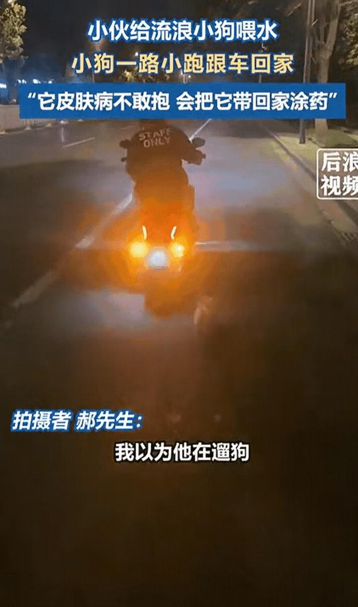 “骨子里的善良”！江苏南京，小伙骑电动车回家，路上遇到一只流浪狗，小伙看它可怜，