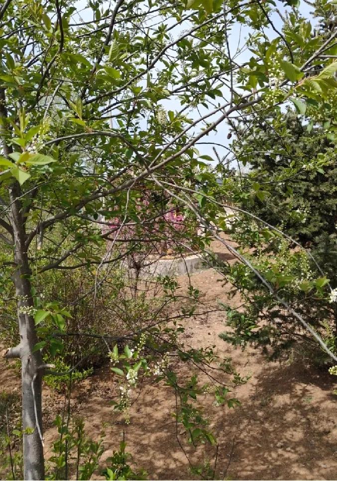 弟媳娘家雇的保姆太省心了,照顾卧病的老丈人,脏活累活都不躲,比之前几个保姆靠谱十