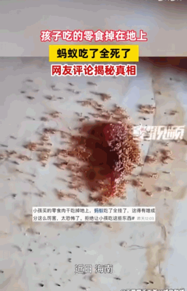“病从口入？”据媒体5月19日报道，海南发生了一件让人后背发凉的事，一个孩子没拿