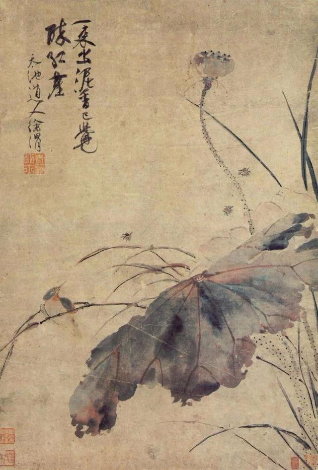【大写意花鸟鼻祖徐渭，为何最爱画残荷破叶？】为什么后世无数绘画大师都推崇徐渭