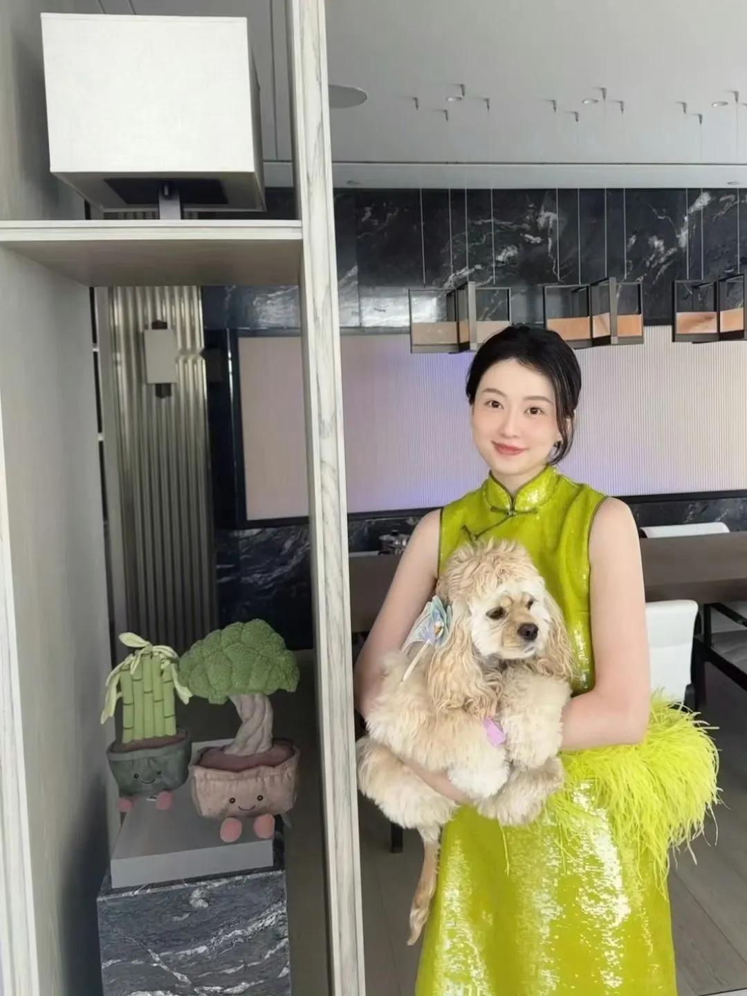 乔欣淡圈后的生活：逛逛逛！吃吃吃！玩玩玩！买买买！乔欣淡圈后的生活如现实版曲