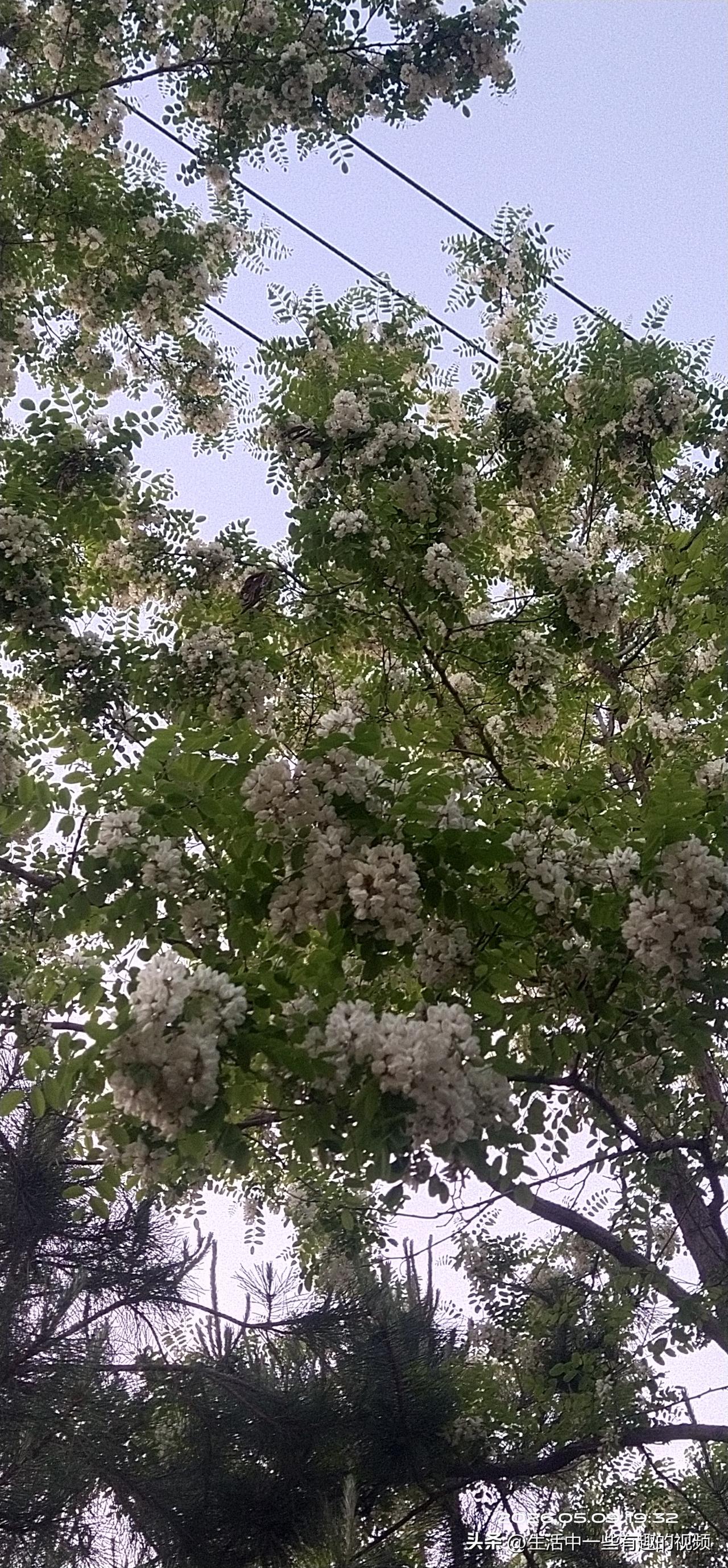 今年好难呀！我老公是做光伏安装的，我全职带娃，在我们小县城租房住！去年他做光