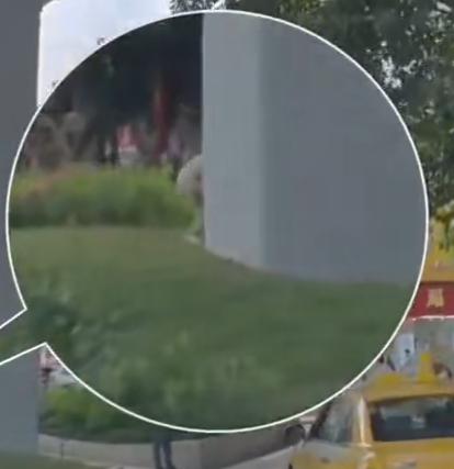 有网友发现印度人在广州街头大小便（图1）。他能到桥墩底下已经很仁慈了，在国外商务