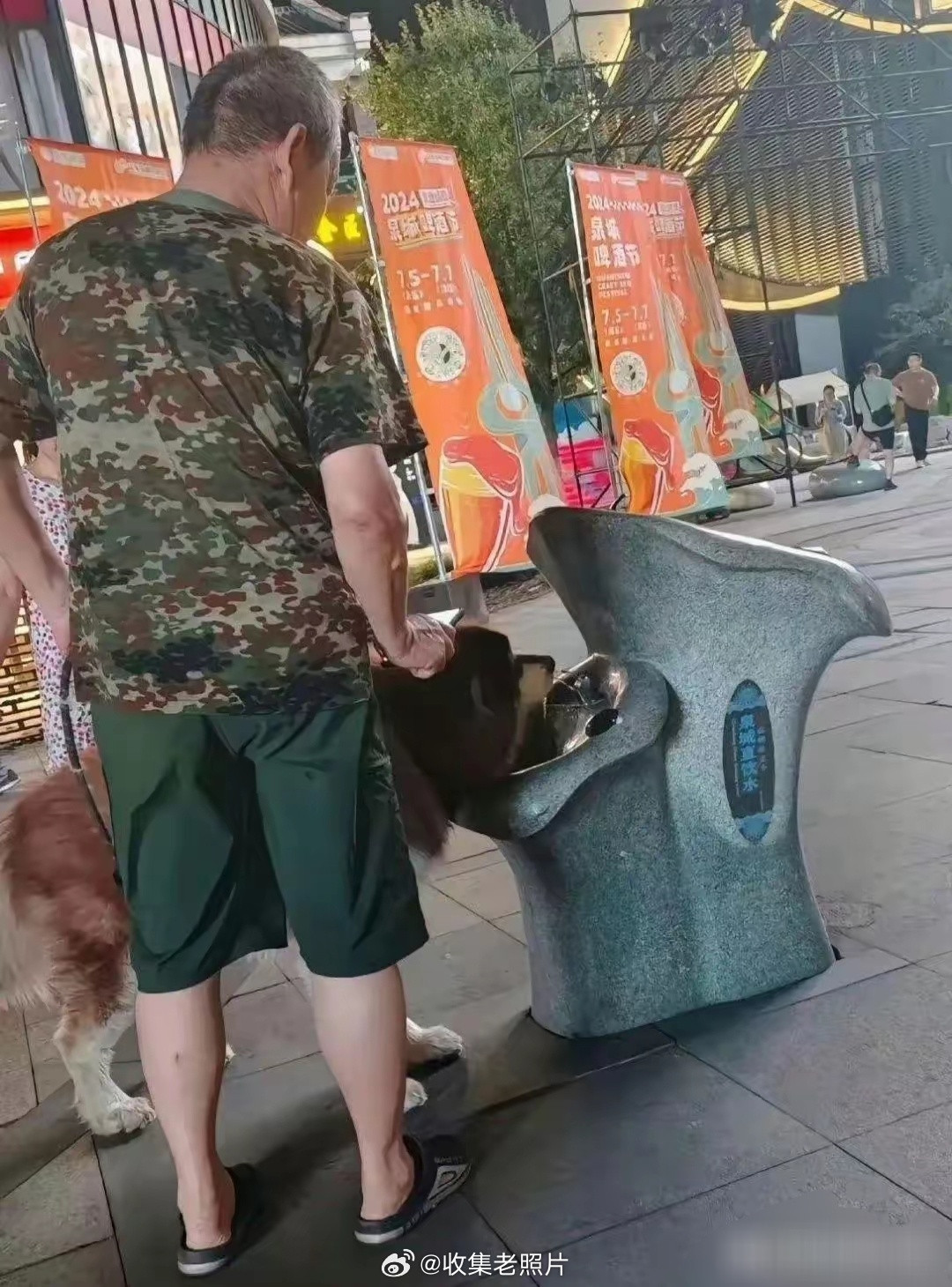 济南，某些狗主的素质堪忧！