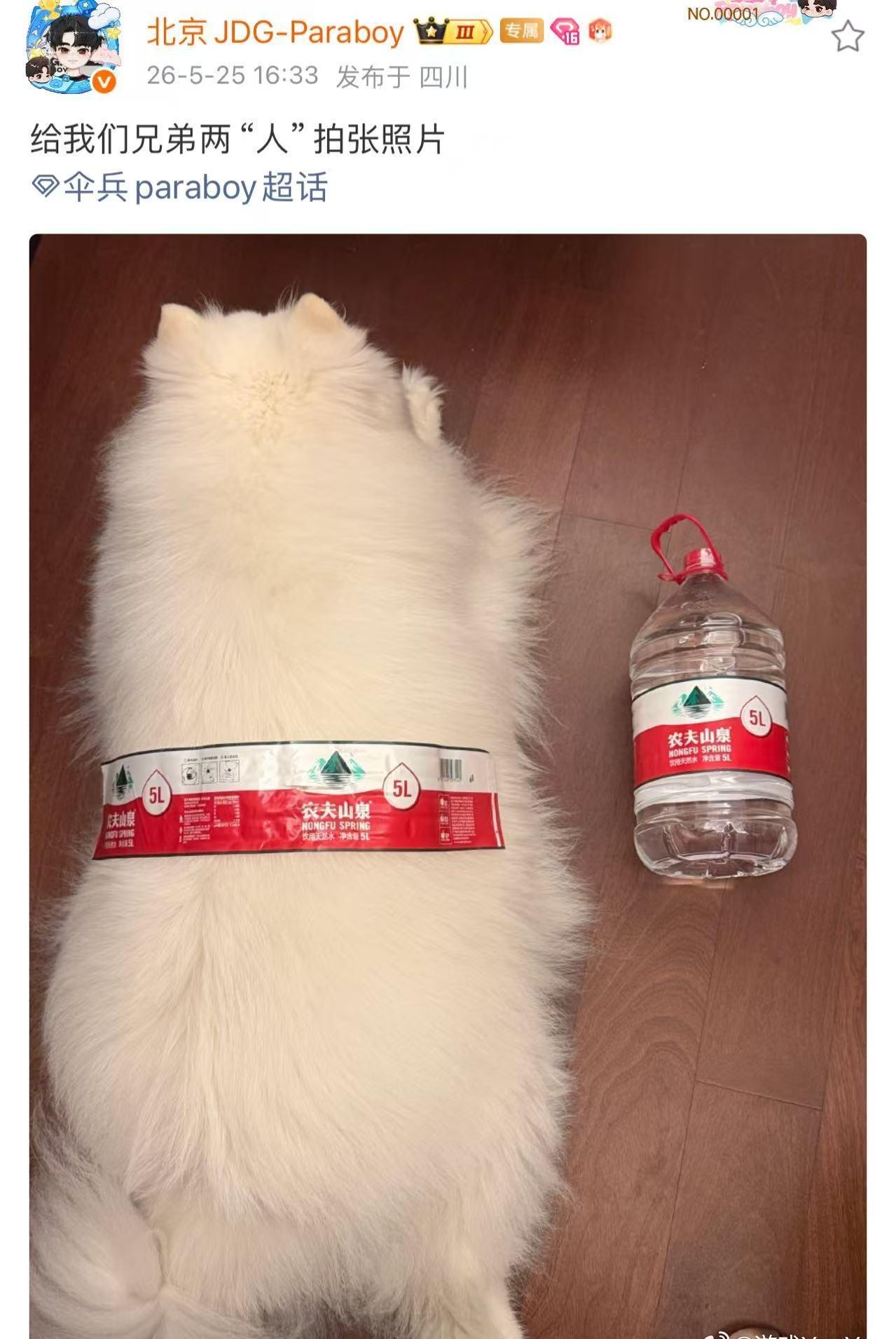 实物参照摆在眼前，生动又搞笑，水桶腰算是被彻底玩明白了。​​​