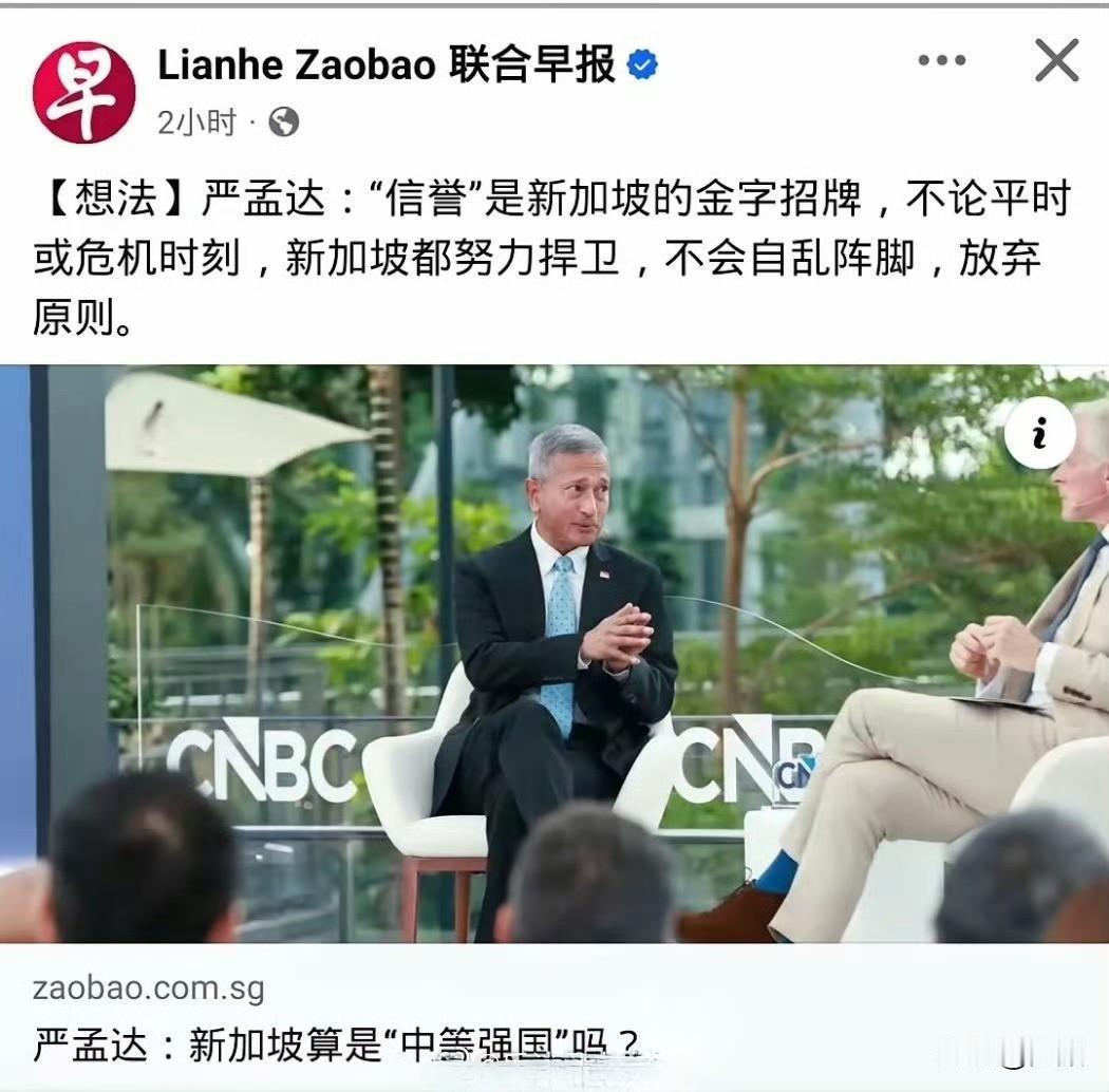 ​新加坡外长维文近日在CNBC论坛声称新加坡是中等强国。这并非依仗军事实力与经济