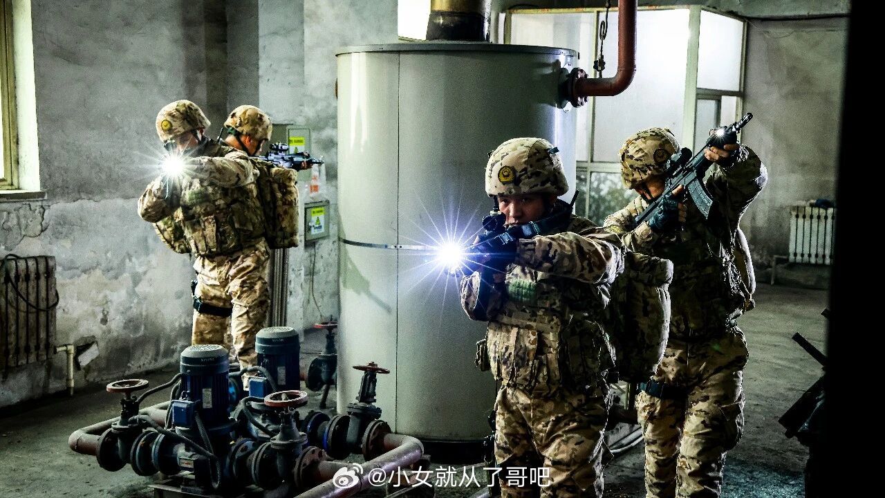 同款？公发制式？枪灯么；素材不多，特写素材更没见过。