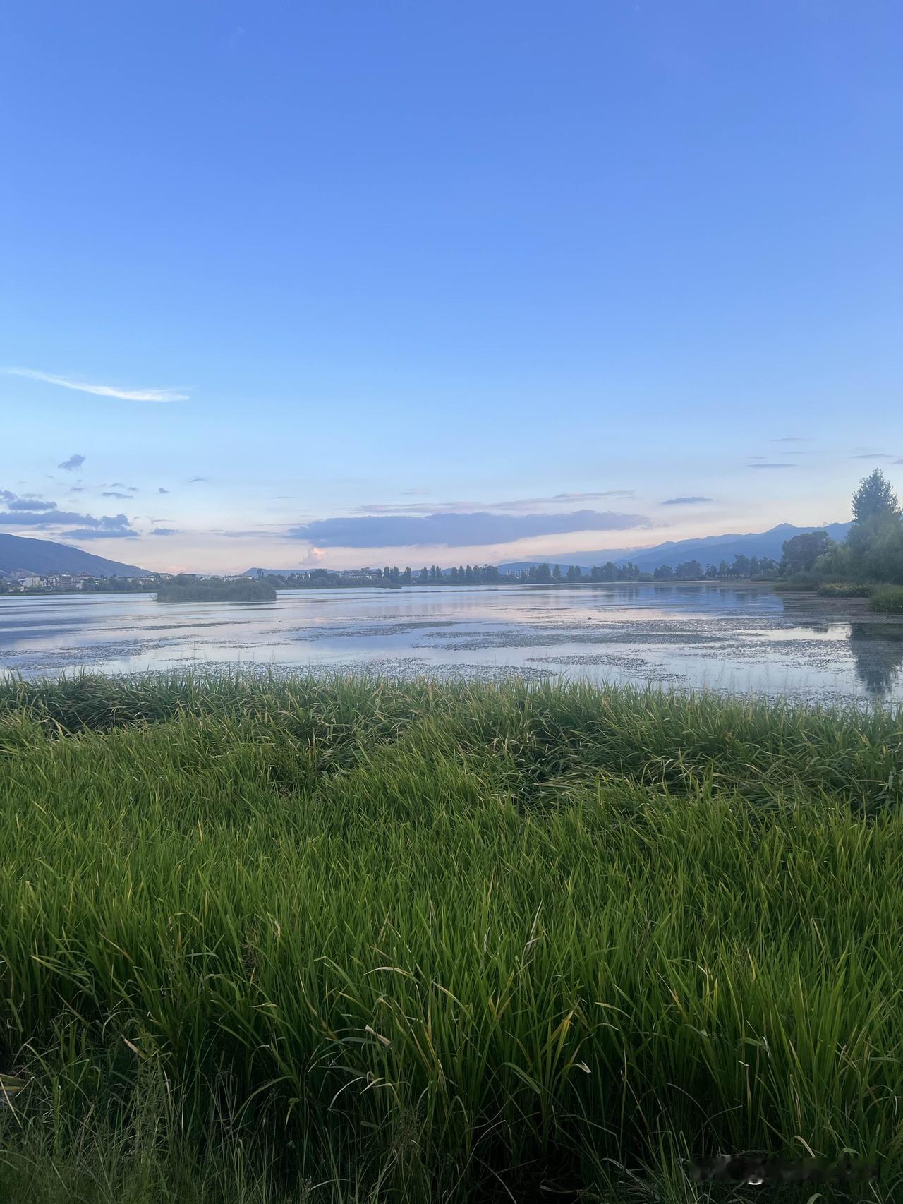这样的生日真的过的开心么？这么好的风景，就被这些垃圾坏了以前喜欢露营喜欢分享
