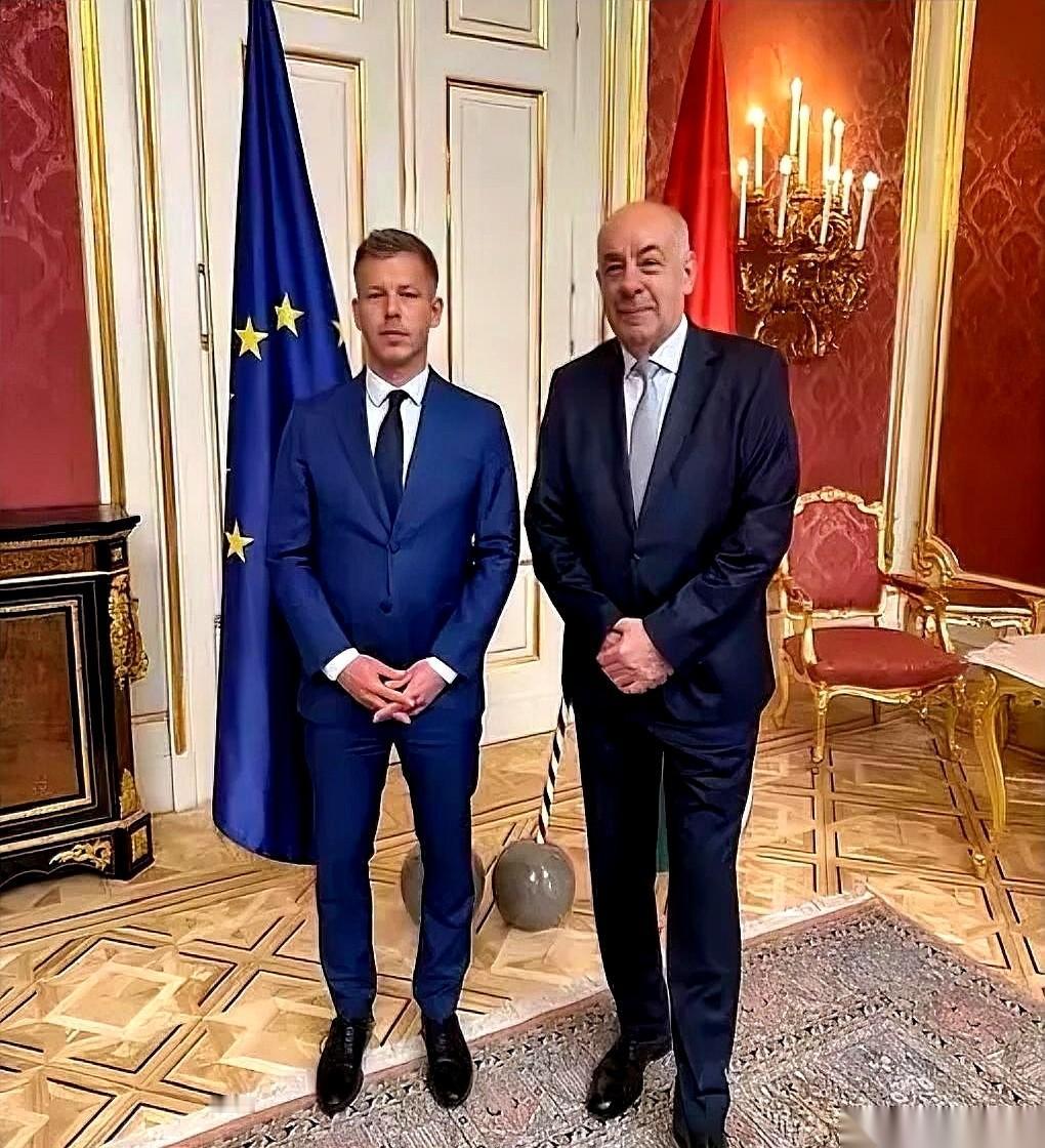 匈牙利新上任的总理毛焦尔，刚和总统碰面，就把一份“最后通牒”甩在了桌上。他当面