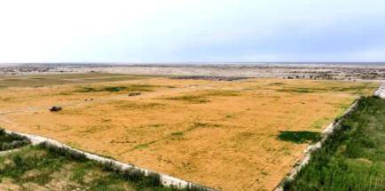 万万没想到，中国工程闹了个大“乌龙”，原本以为在沙漠种小麦产量会很低，不料一亩地