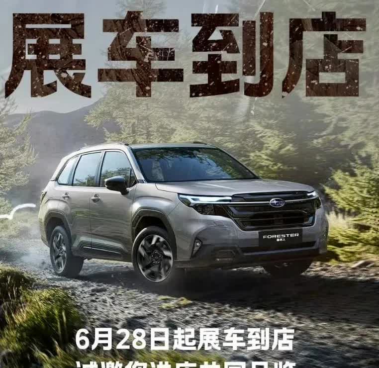 一句话求劝退，想换第六代森林人的心到达了顶点。终于是国内上市了，2.5L水平