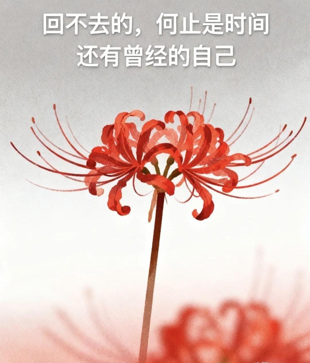 我老公跟我摊牌了，他说如果现在还能娶三妻四妾，他肯定要再娶一个。理由是嫌我长得