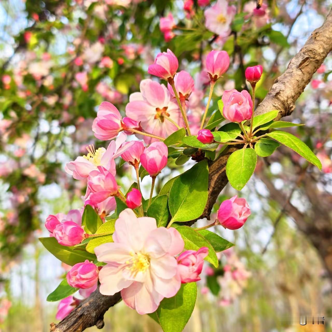 优秀男人必备素质1. 有担当遇事不逃避、不甩锅，对家庭、工作、言行负责，