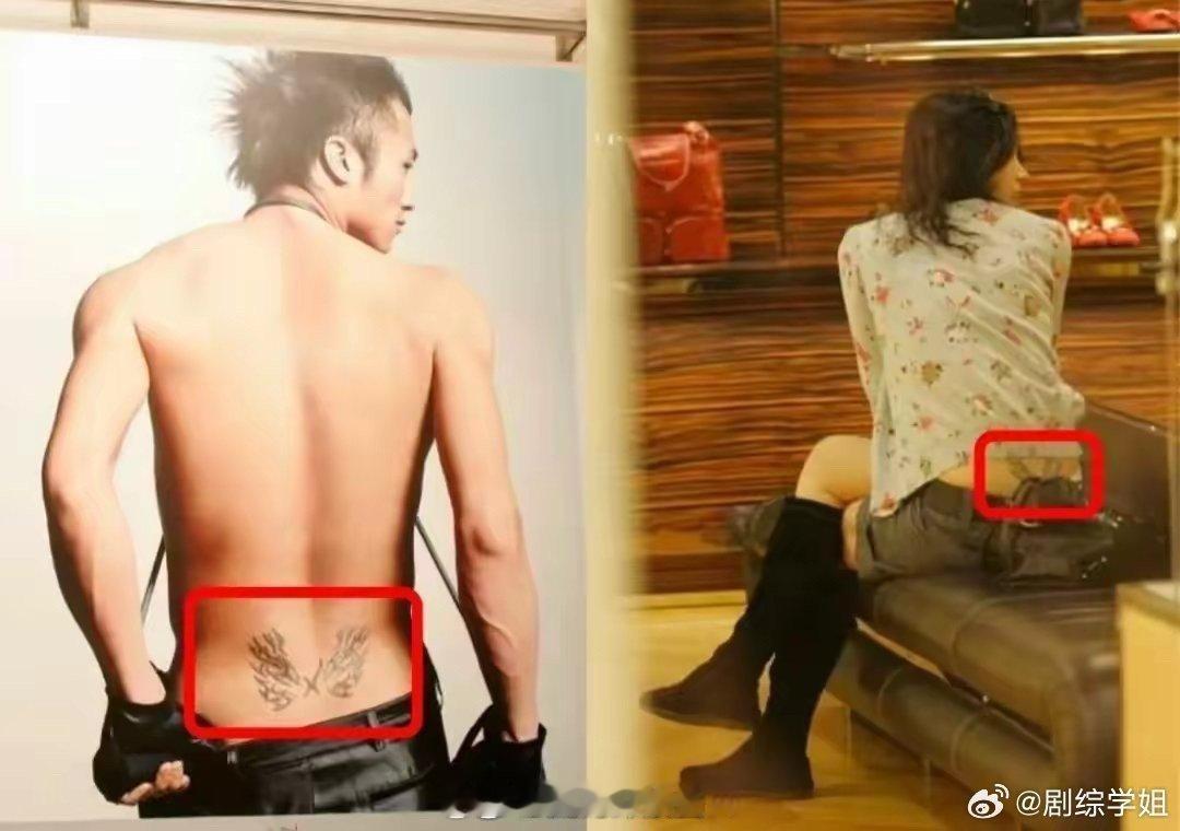 王菲跟谢霆锋的情侣纹身，后腰的比翼双飞…