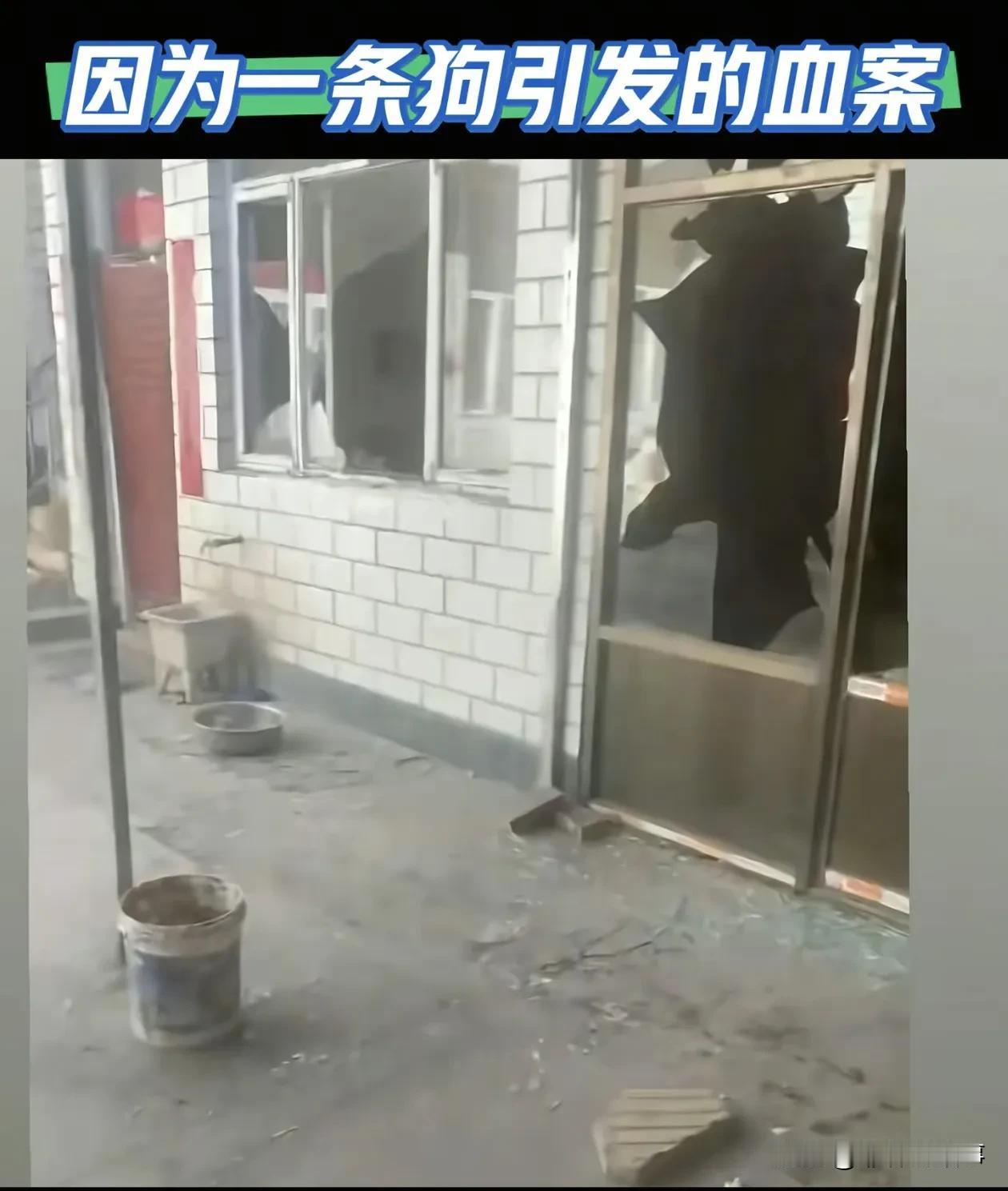 今年1月，山西长治，因为一条狗引发了一场命案，一审于11月13日长治市中院开庭。