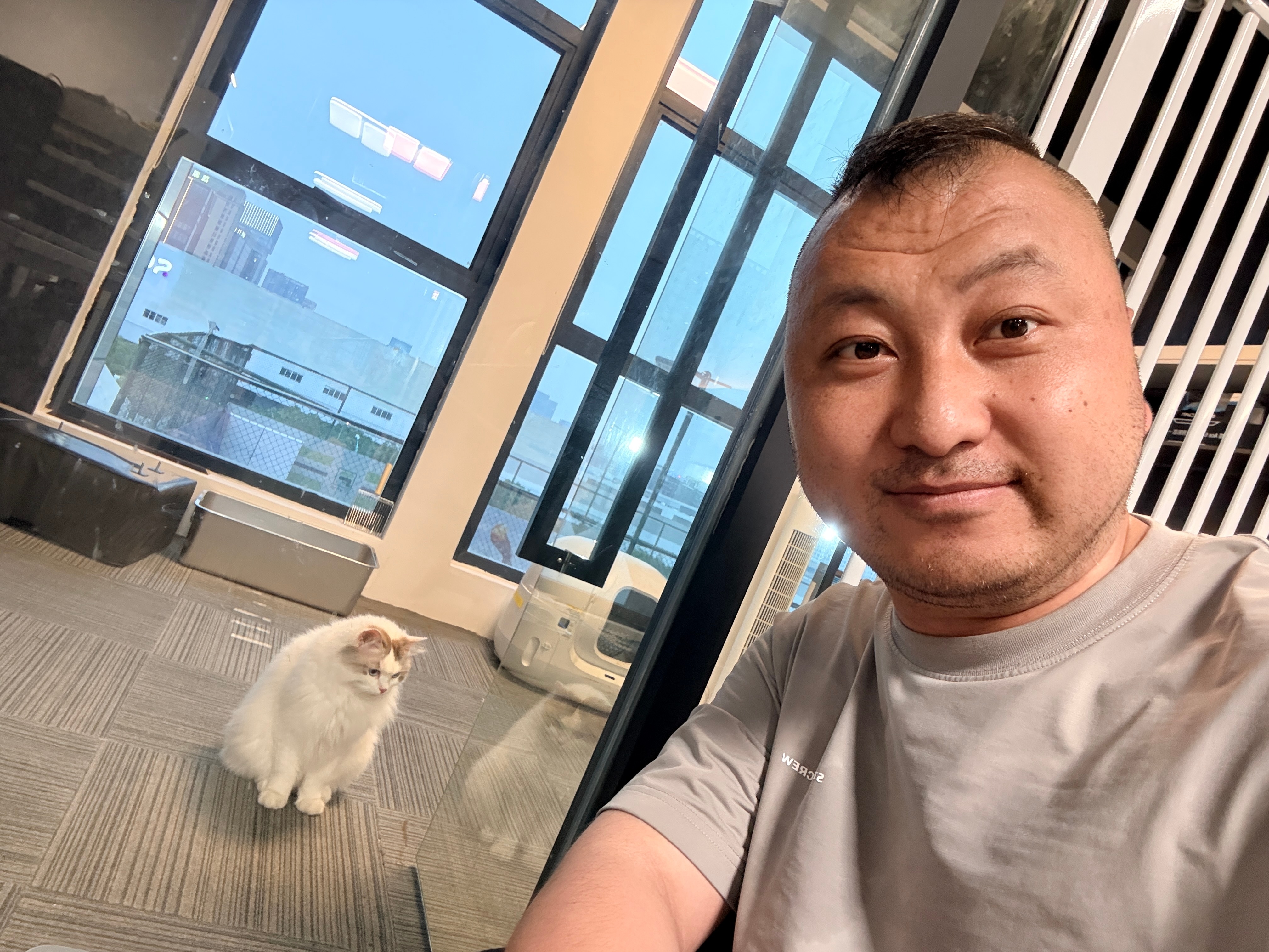 确实很难给大家解释，为什么我来杭州照顾猫这两天基本在改善猫的生存环境，他们现