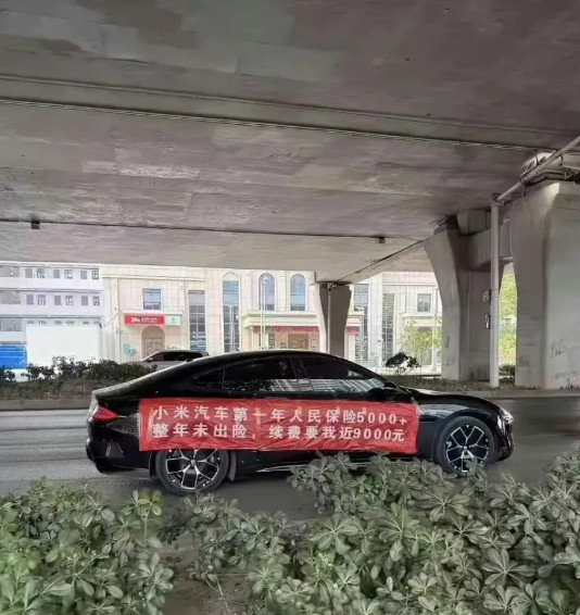 电车保费都是这么高的吗？