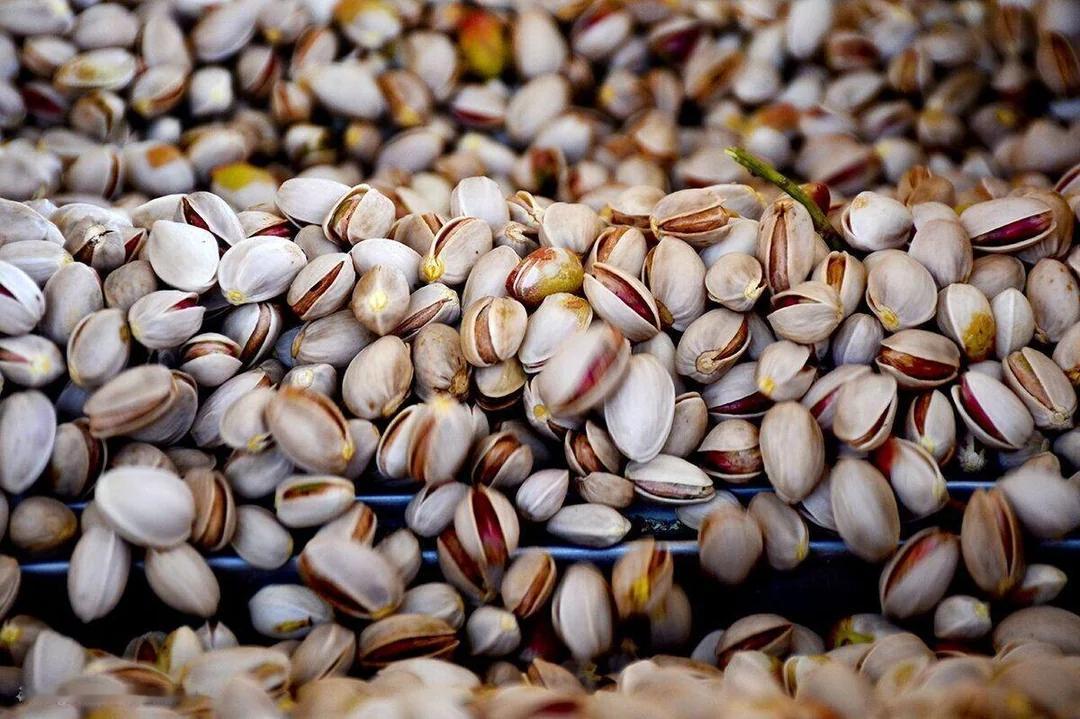 伊朗对中国开心果出口超过美国,后者大幅下降中国海关统计数据显示,今年前9个月,伊